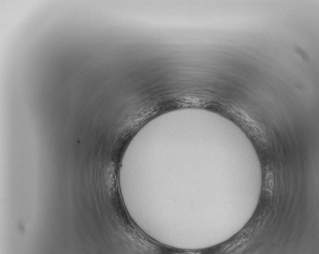 X0000115410318200912011231