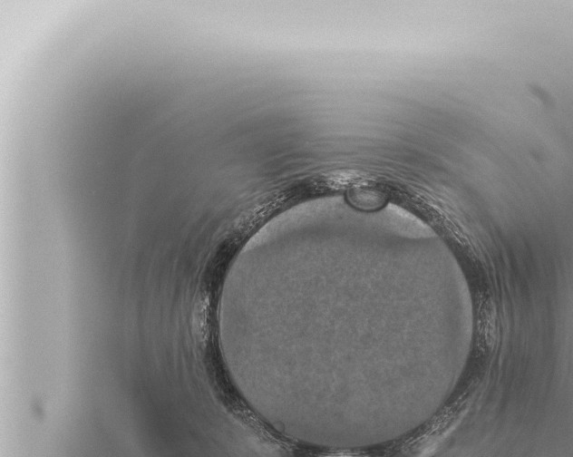 X0000115410319200912011231