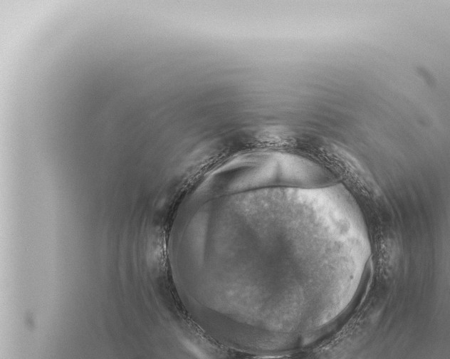 X0000115410320200912011231