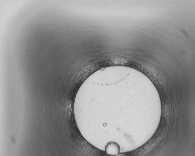 X0000115410321200912011231