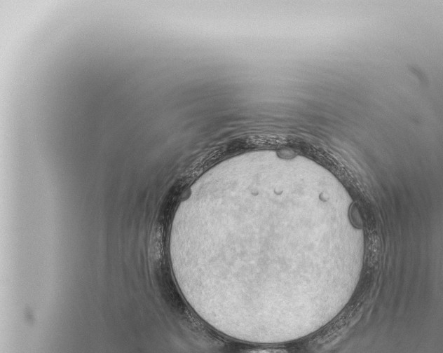 X0000115410323200912011230