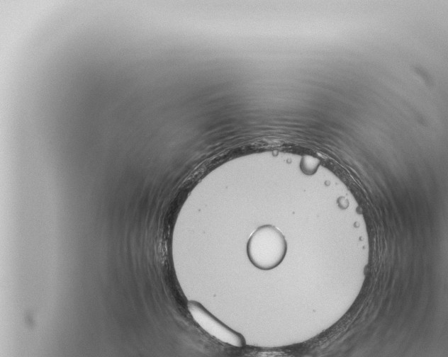 X0000115410324200912011230