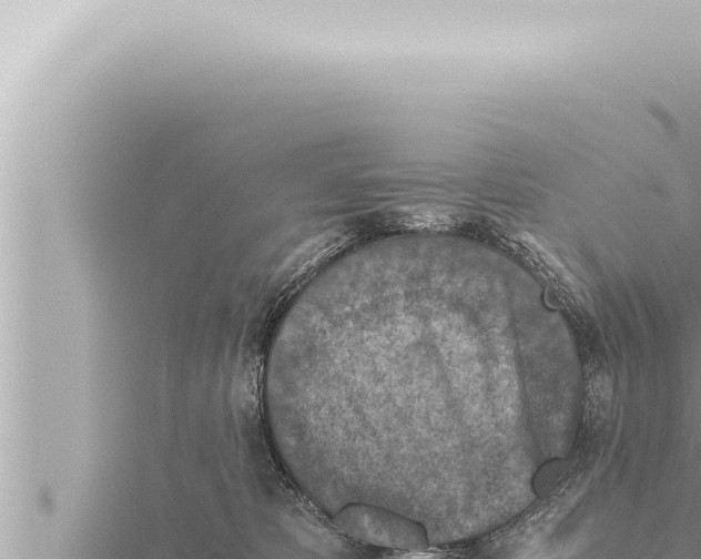 X0000115410325200912011230