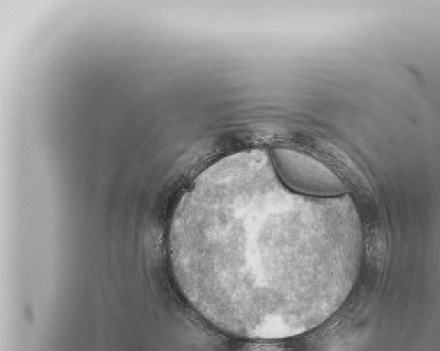 X0000115410327200912011230