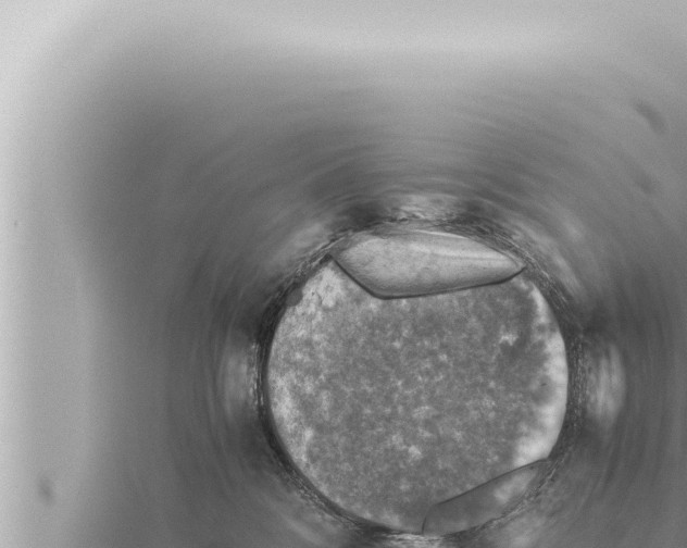 X0000115410328200912011230