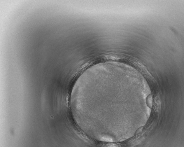 X0000115410330200912011230