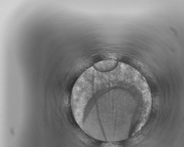 X0000115410331200912011230