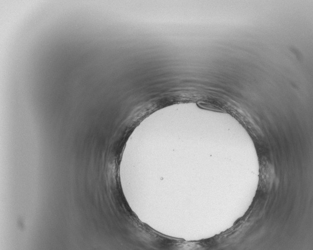 X0000115410333200912011230