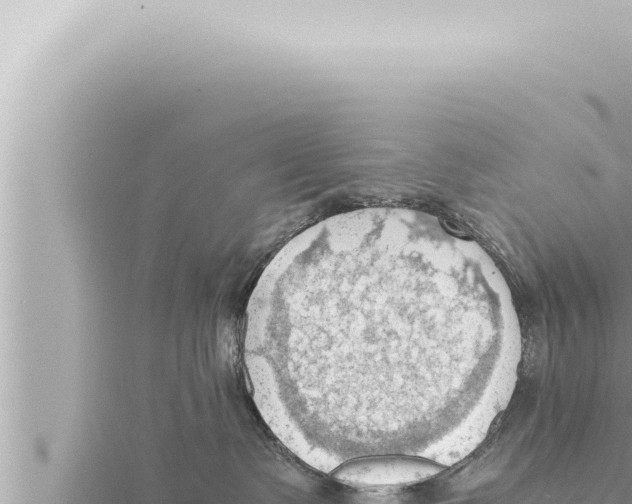 X0000115410335200912011230