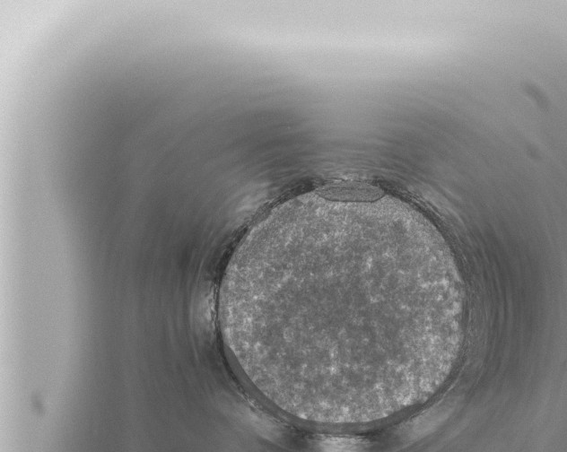 X0000115410336200912011230