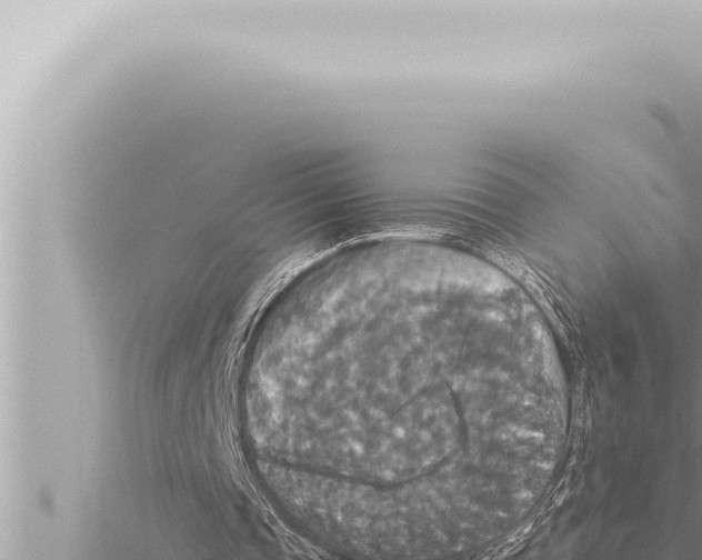 X0000115410337200912011230