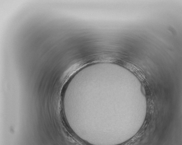 X0000115410338200912011230