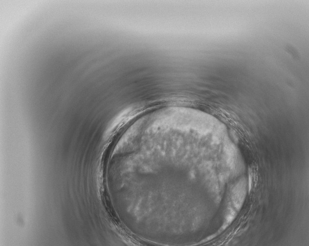 X0000115410339200912011230