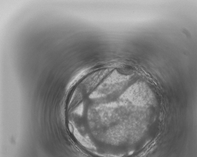 X0000115410341200912011230