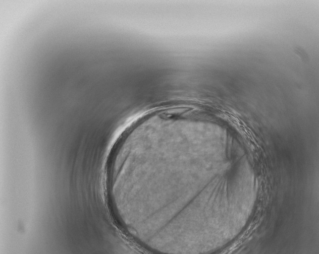 X0000115410342200912011230