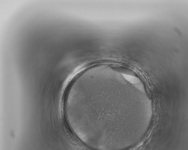 X0000115410343200912011230