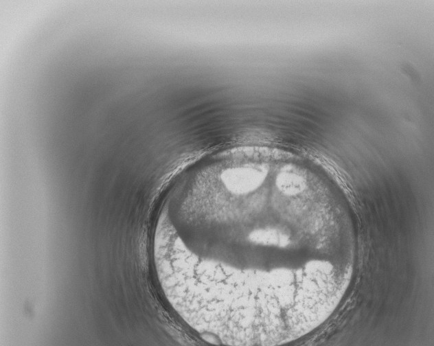 X0000115410345200912011230