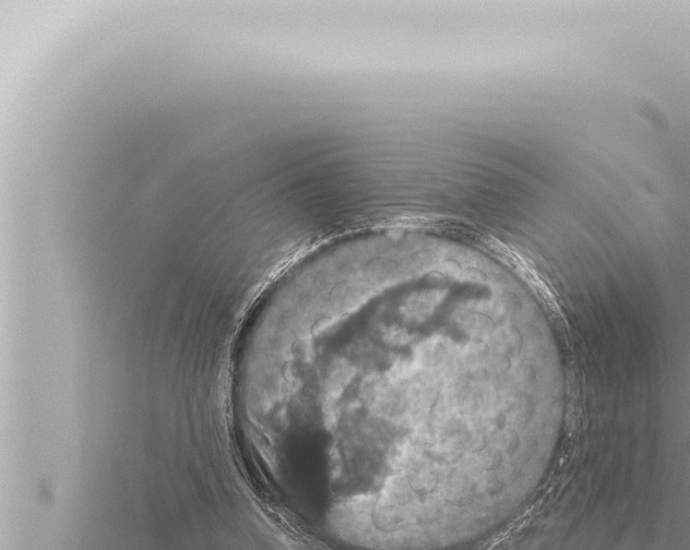 X0000115410346200912011230