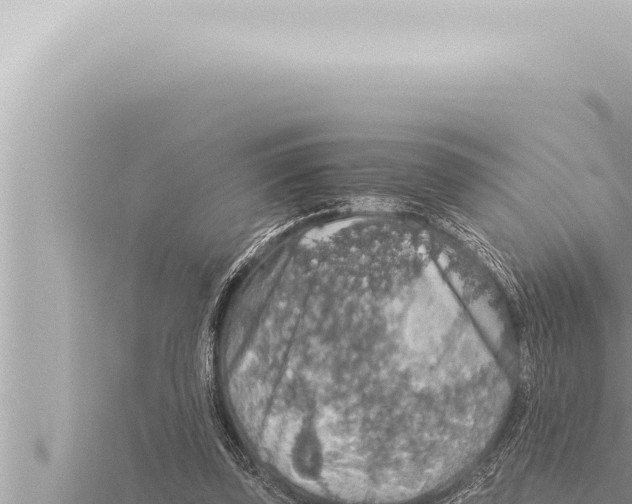 X0000115410347200912011230