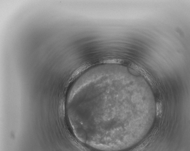 X0000115410349200912011230