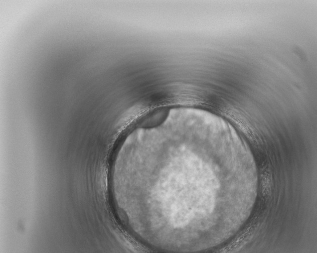 X0000115410350200912011230