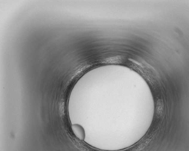 X0000115410351200912011230