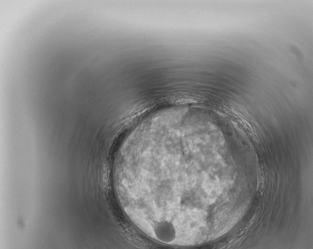 X0000115410359200912011230