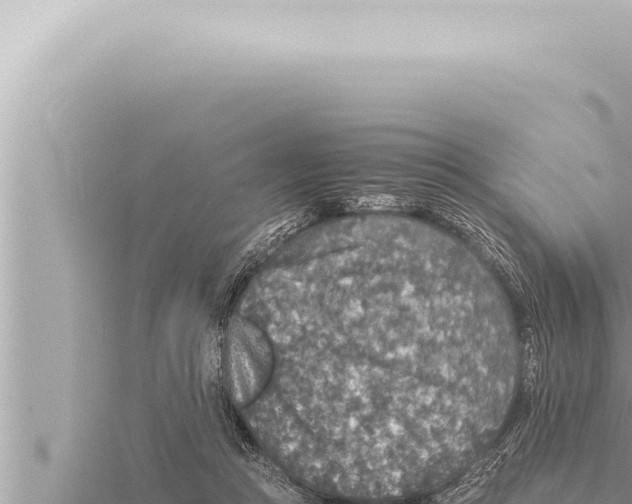 X0000115410361200912011230