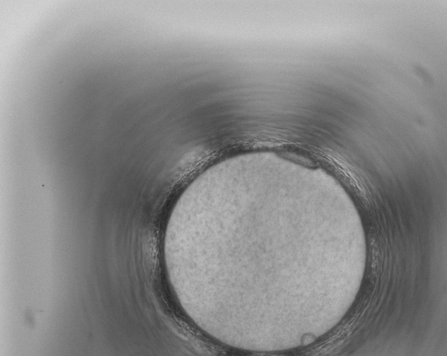 X0000115410362200912011230