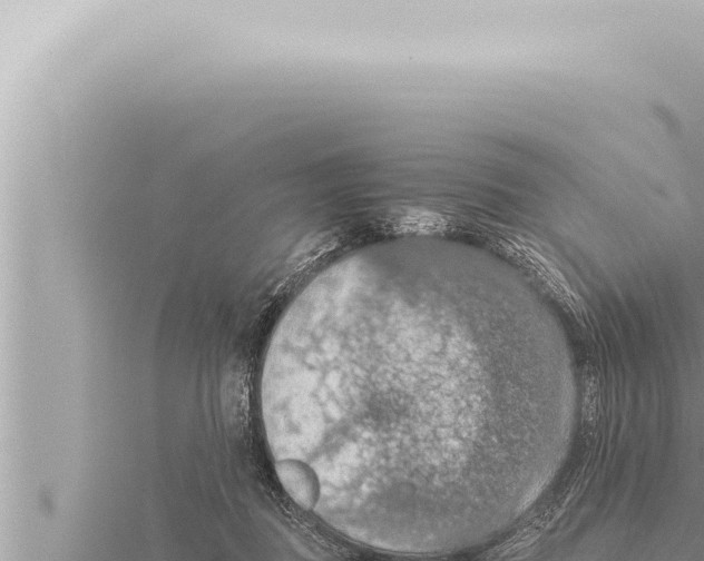 X0000115410363200912011230