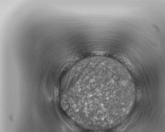 X0000115410365200912011230