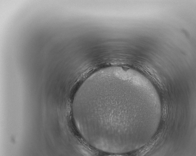 X0000115410367200912011230