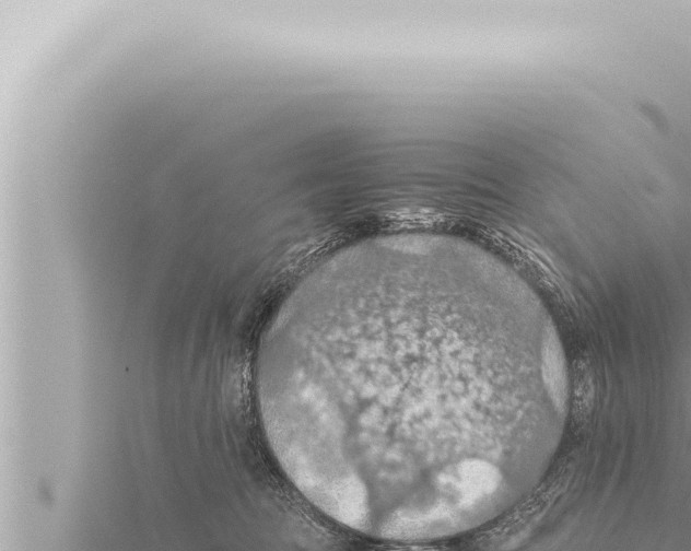 X0000115410369200912011230