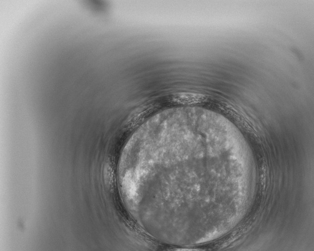 X0000115410371200912011230