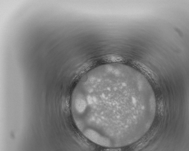 X0000115410373200912011230