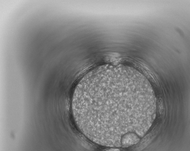 X0000115410374200912011230