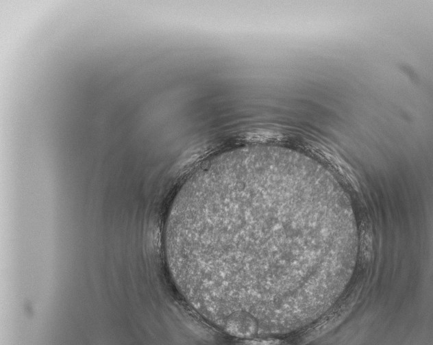 X0000115410375200912011230