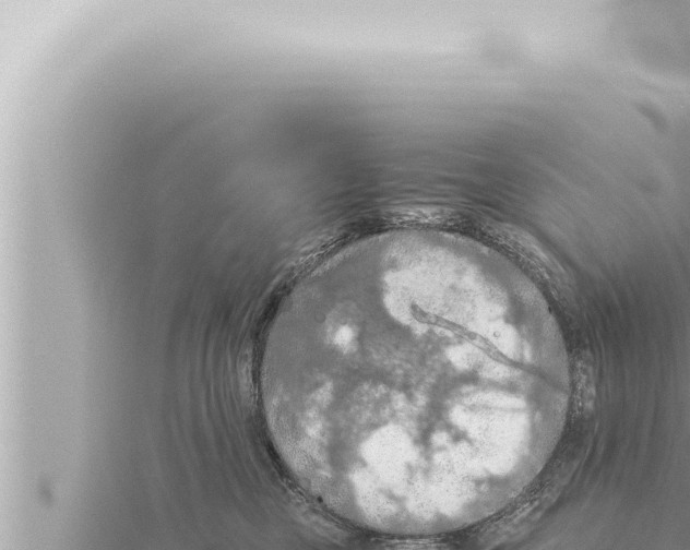 X0000115410377200912011230