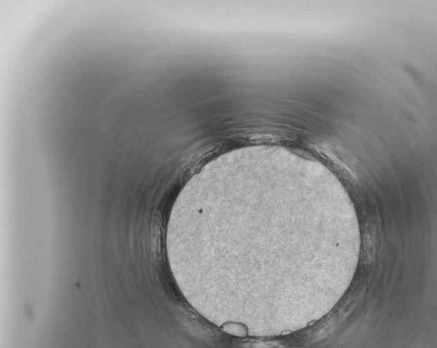 X0000115410379200912011230