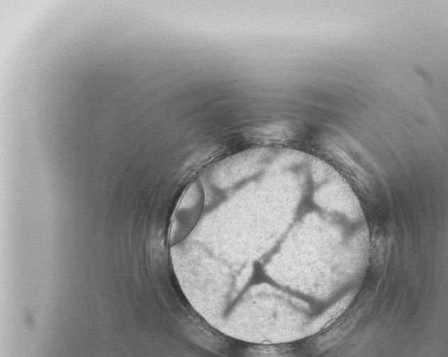 X0000115410381200912011230