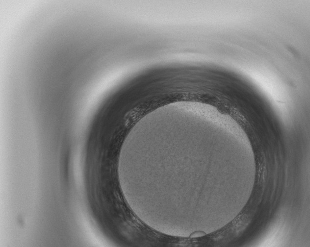 X0000115410383200912011230