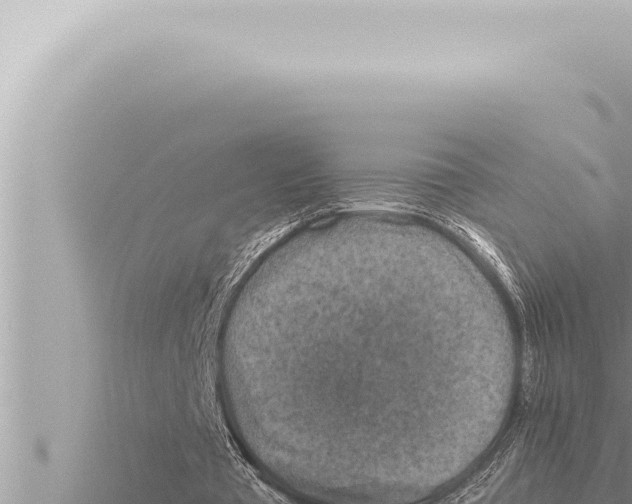 X0000115410385200912011230