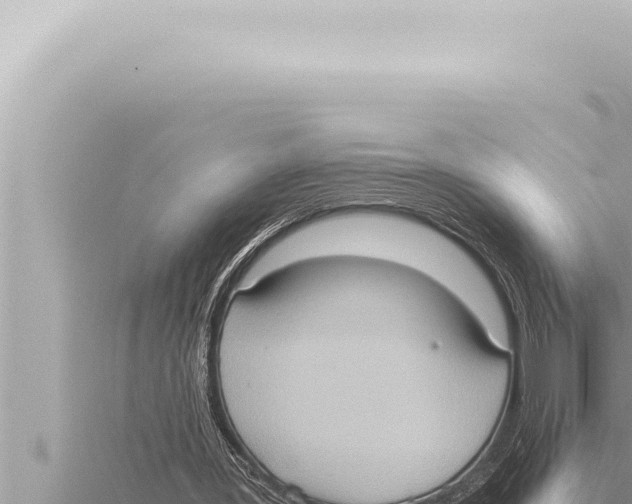 X0000115410387200912011230