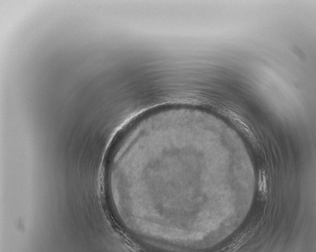 X0000115410388200912011230