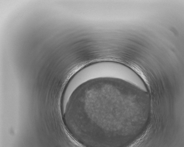 X0000115410389200912011230