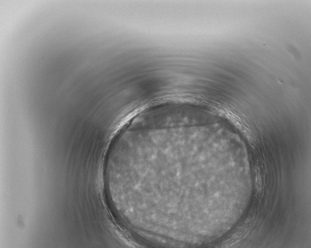 X0000115410390200912011230