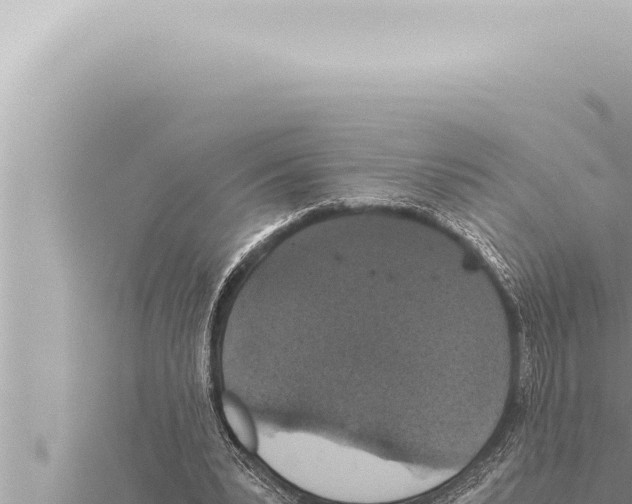 X0000115410391200912011230