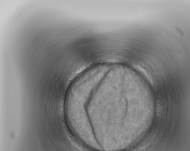 X0000115410394200912011230