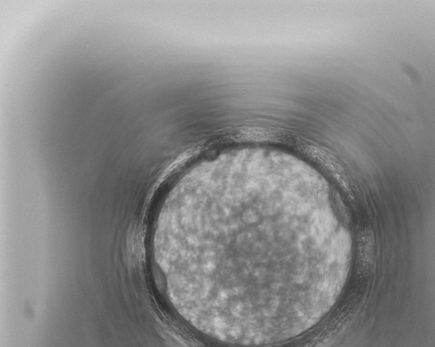 X0000115410395200912011230