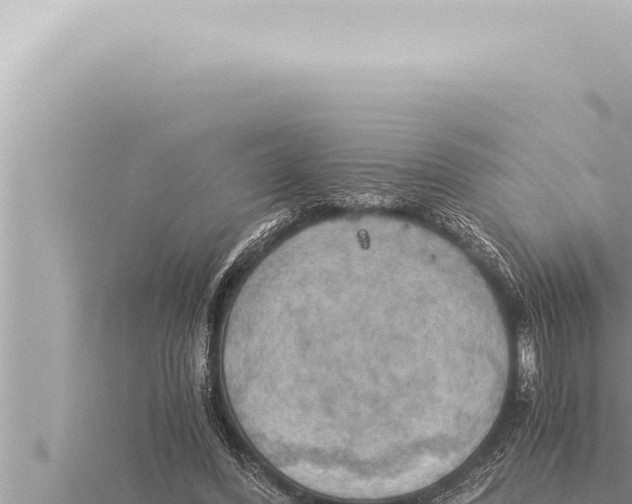 X0000115410396200912011230